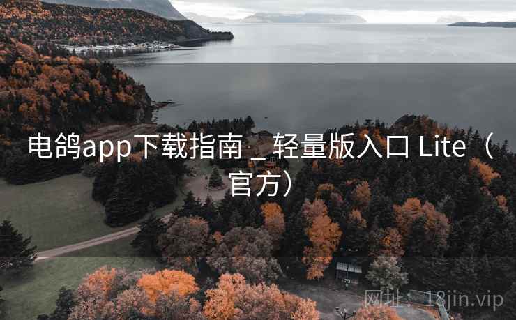 电鸽app下载指南 _ 轻量版入口 Lite（官方）